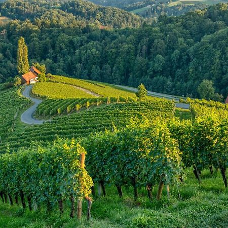 Willa Turisticna Kmetija Dreisiebner Spicnik Zewnętrze zdjęcie