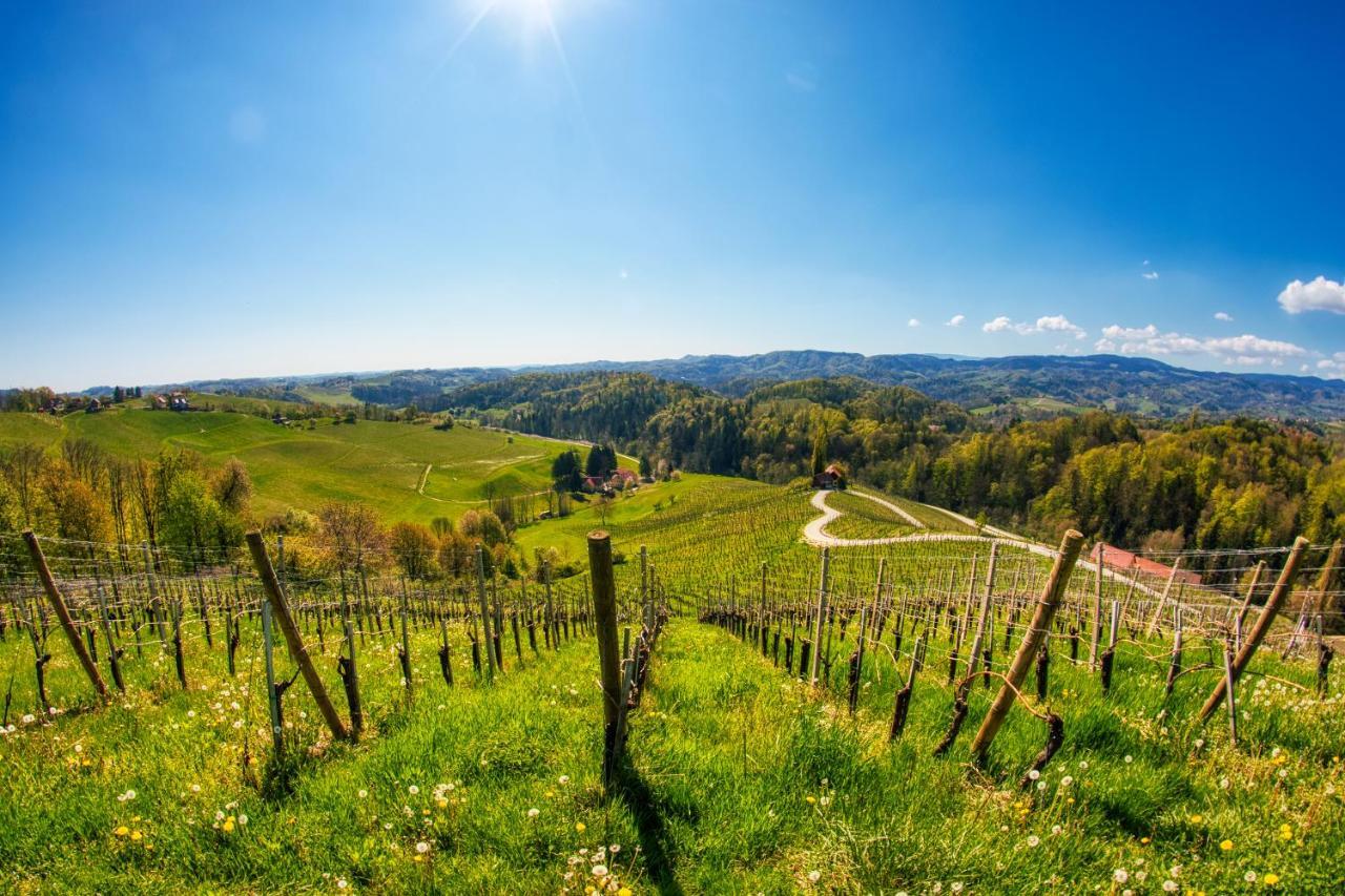 Willa Turisticna Kmetija Dreisiebner Spicnik Zewnętrze zdjęcie