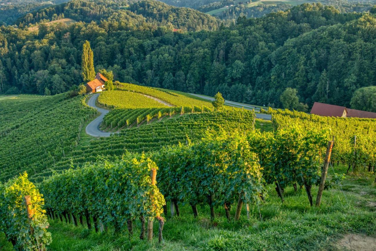Willa Turisticna Kmetija Dreisiebner Spicnik Zewnętrze zdjęcie